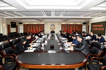 市政协十三届3次主席会议.jpg