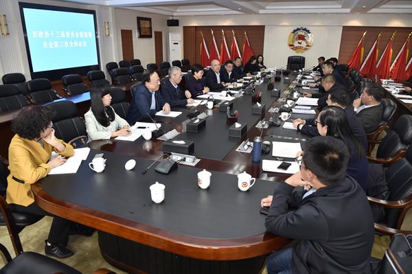 4-19提案委全体会议-600.jpg