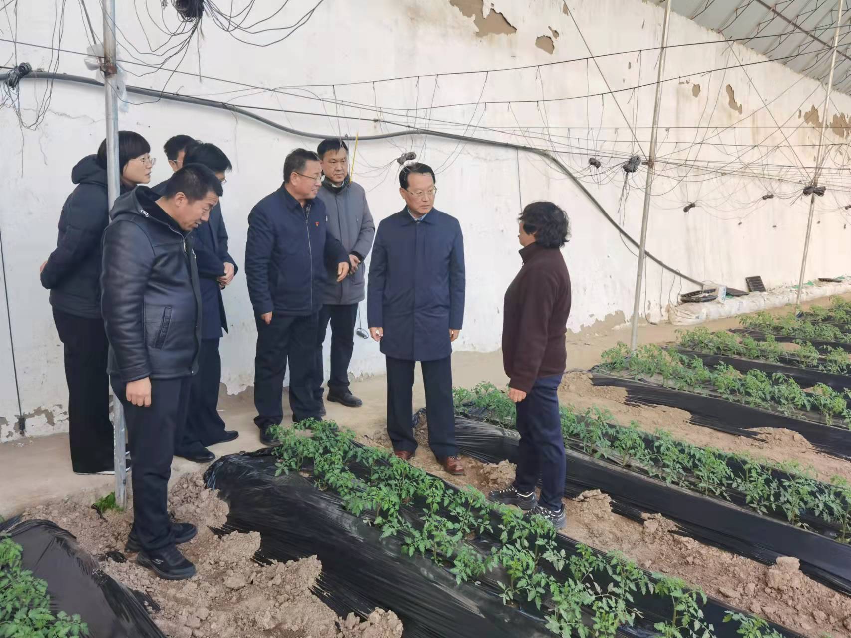 市政协党组书记、主席提名人选李炯赴赛罕区调研乡村振兴工作